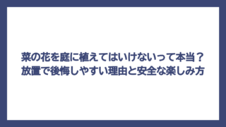 菜の花を庭に植えてはいけないって本当？放置で後悔しやすい理由と安全な楽しみ方
