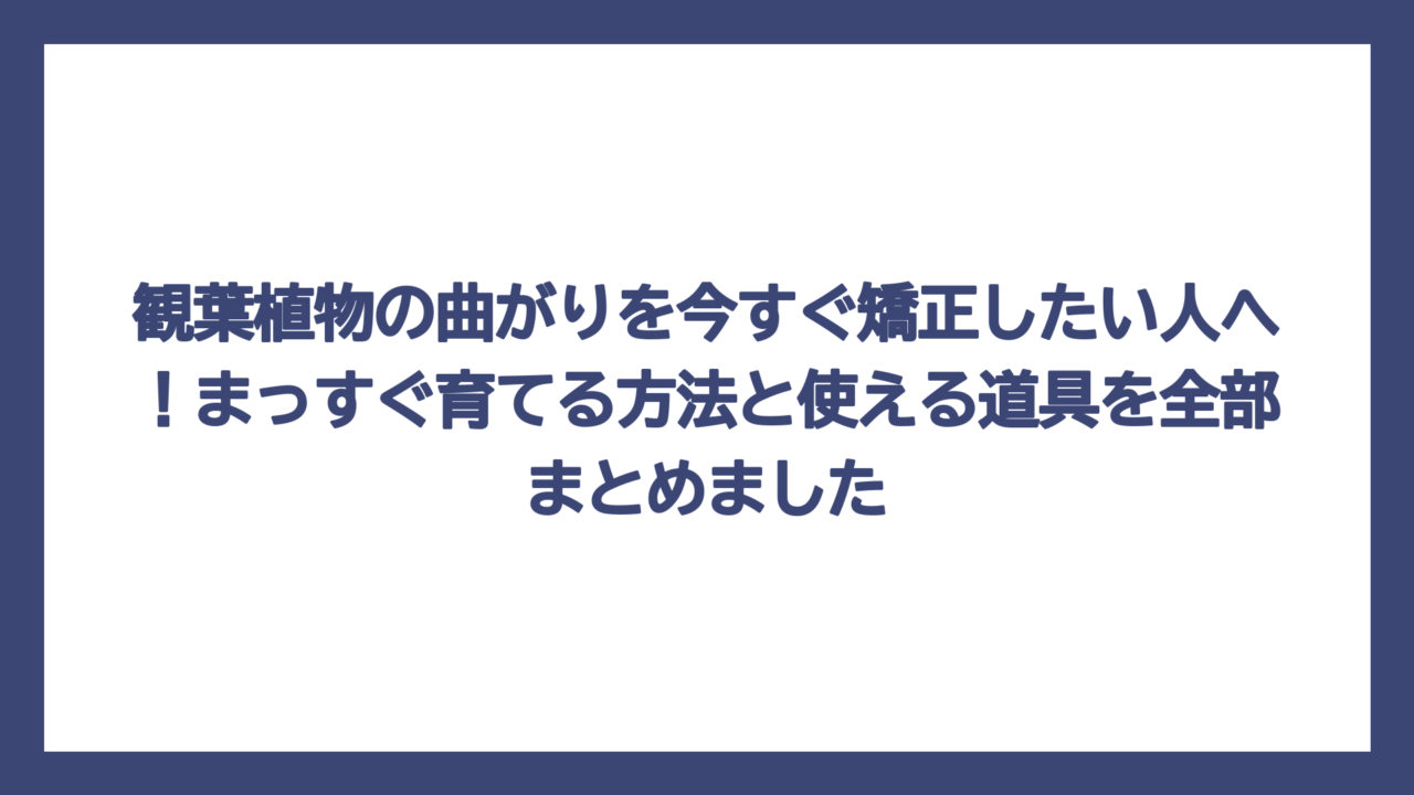 観葉植物の曲がりを今すぐ矯正したい人へ！まっすぐ育てる方法と使える道具を全部まとめました