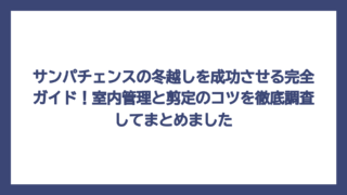 サンパチェンスの冬越しを成功させる完全ガイド！室内管理と剪定のコツを徹底調査してまとめました