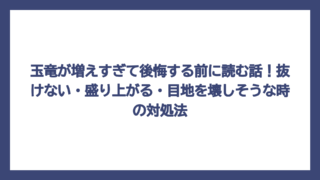 玉竜が増えすぎて後悔する前に読む話！抜けない・盛り上がる・目地を壊しそうな時の対処法