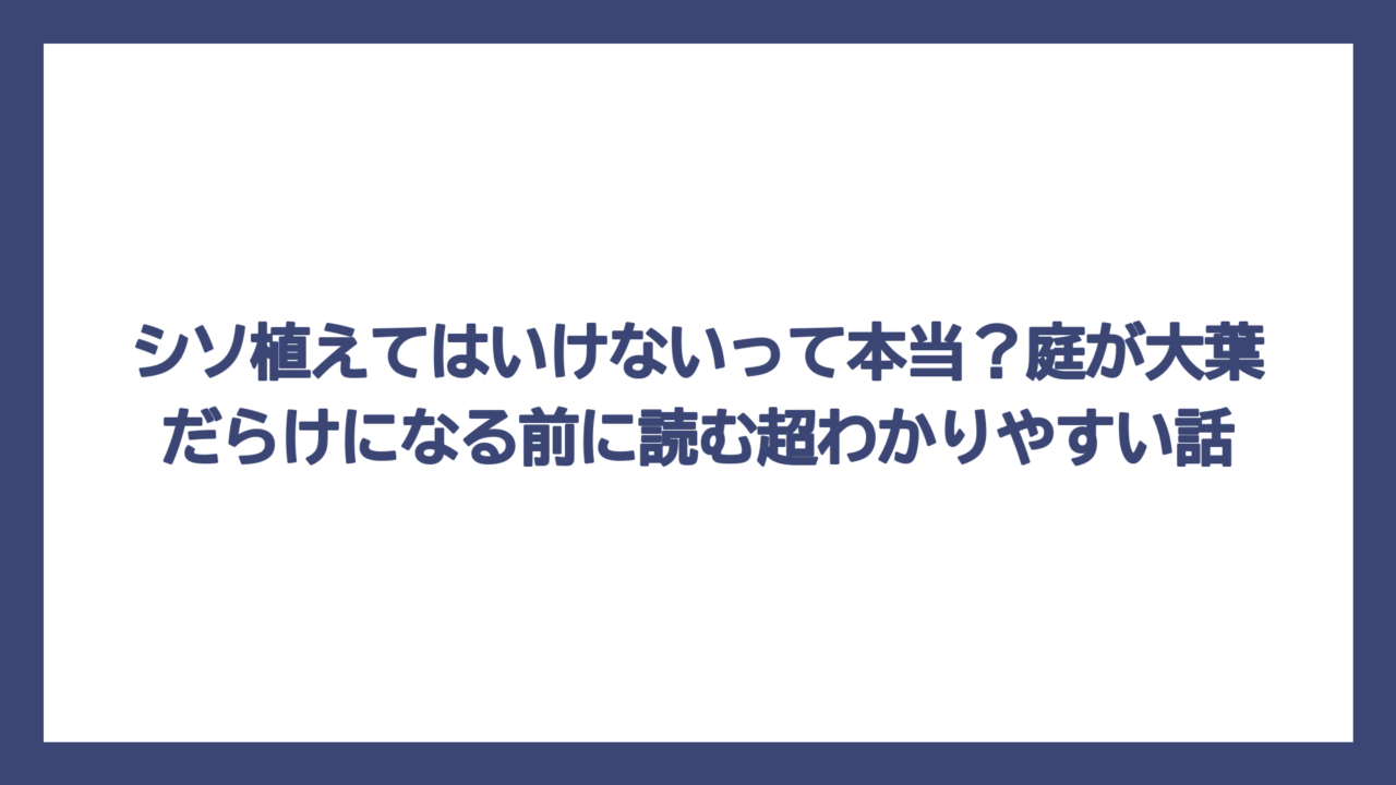 シソ植えてはいけないって本当？庭が大葉だらけになる前に読む超わかりやすい話