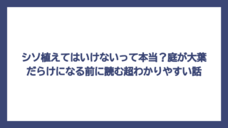 シソ植えてはいけないって本当？庭が大葉だらけになる前に読む超わかりやすい話