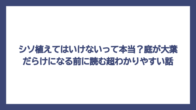 シソ植えてはいけないって本当？庭が大葉だらけになる前に読む超わかりやすい話