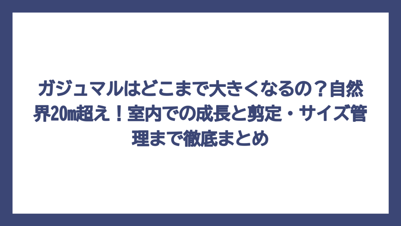 ガジュマルはどこまで大きくなるの？自然界20m超え！室内での成長と剪定・サイズ管理まで徹底まとめ