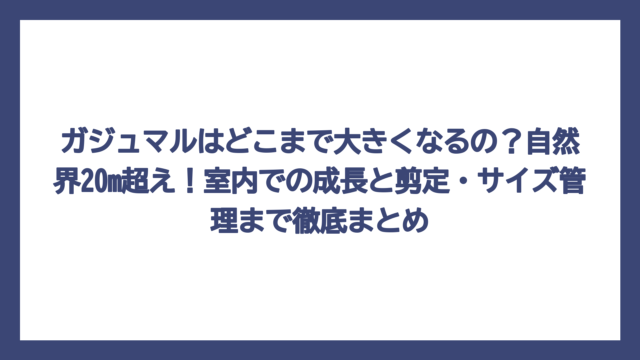ガジュマルはどこまで大きくなるの？自然界20m超え！室内での成長と剪定・サイズ管理まで徹底まとめ