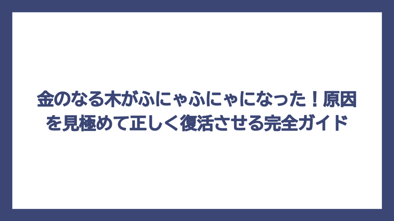 金のなる木がふにゃふにゃになった！原因を見極めて正しく復活させる完全ガイド