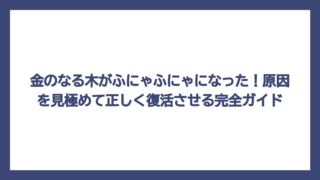 金のなる木がふにゃふにゃになった！原因を見極めて正しく復活させる完全ガイド