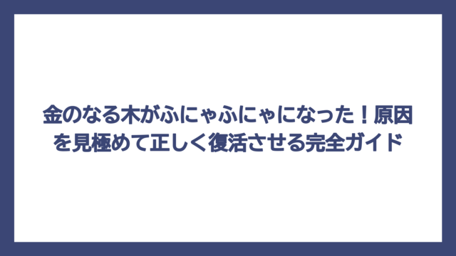 金のなる木がふにゃふにゃになった！原因を見極めて正しく復活させる完全ガイド