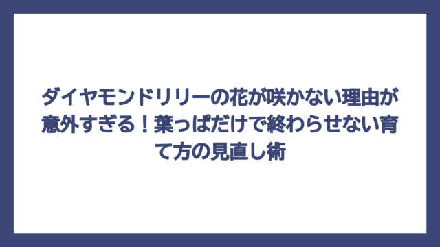 ダイヤモンドリリーの花が咲かない理由が意外すぎる！葉っぱだけで終わらせない育て方の見直し術