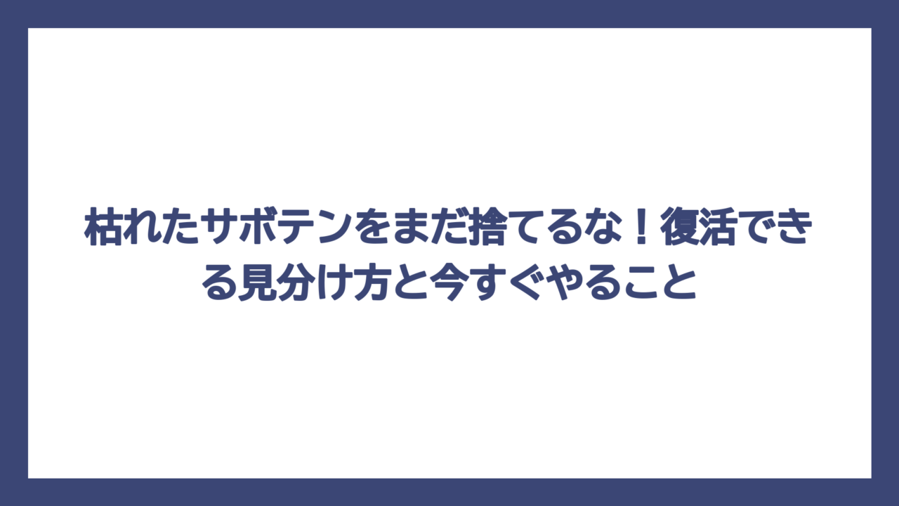 枯れたサボテンをまだ捨てるな！復活できる見分け方と今すぐやること