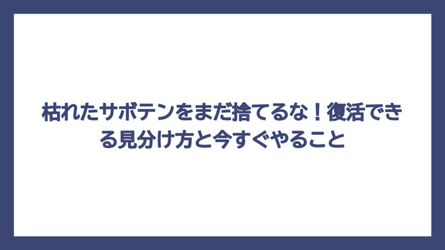 枯れたサボテンをまだ捨てるな！復活できる見分け方と今すぐやること