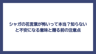 シャガの花言葉が怖いって本当？知らないと不安になる意味と贈る前の注意点