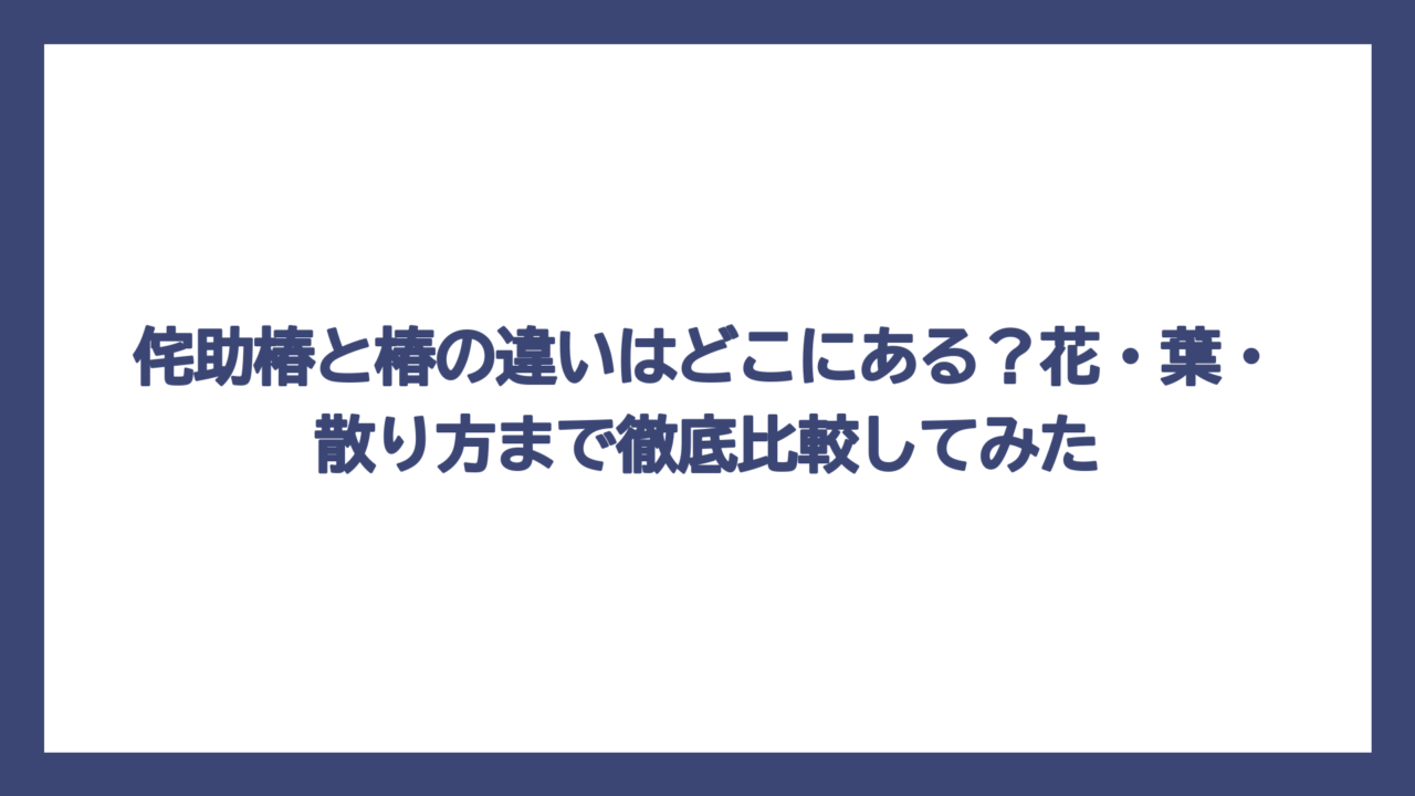 侘助椿と椿の違いはどこにある？花・葉・散り方まで徹底比較してみた