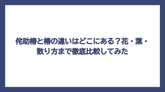 侘助椿と椿の違いはどこにある？花・葉・散り方まで徹底比較してみた