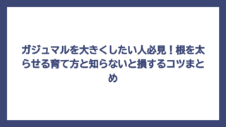 ガジュマルを大きくしたい人必見！根を太らせる育て方と知らないと損するコツまとめ