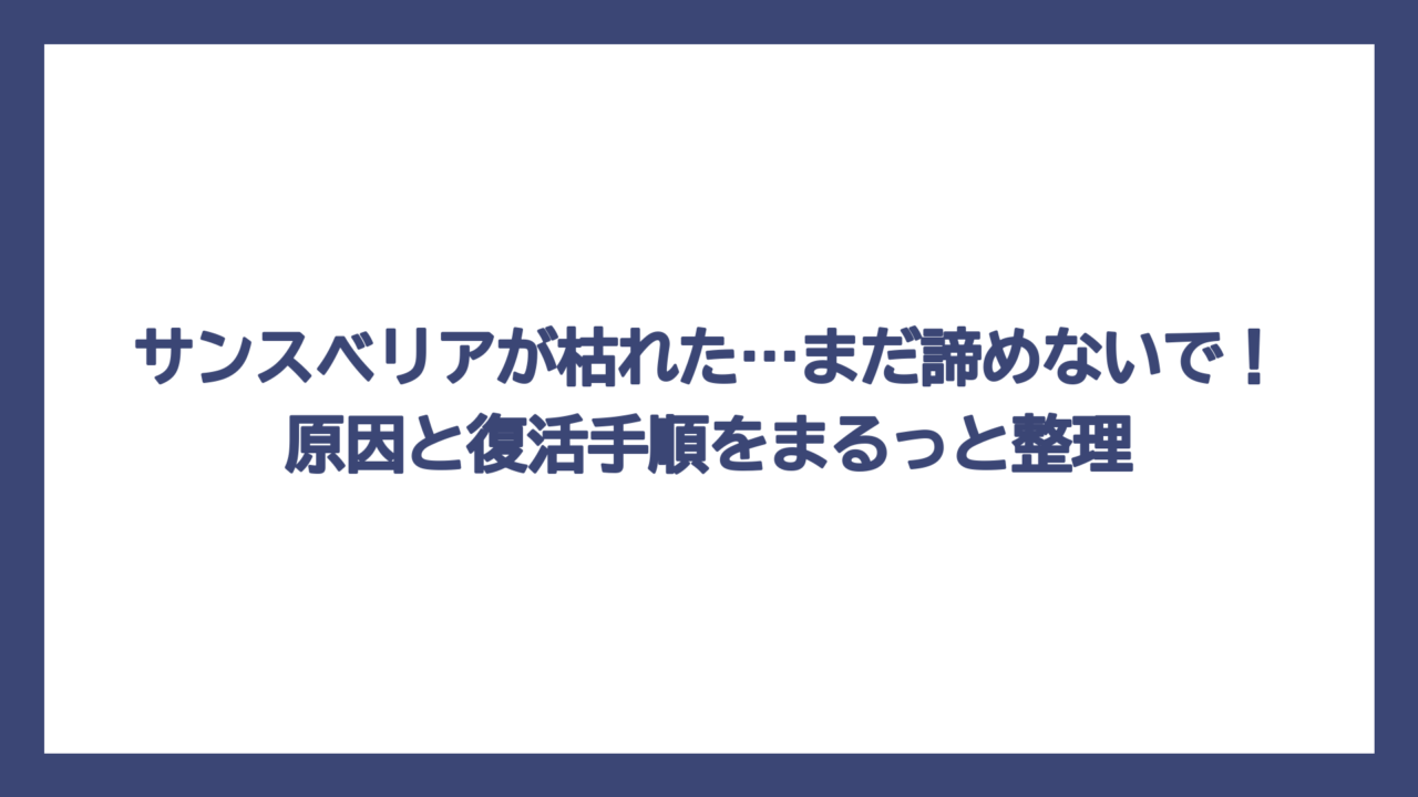 サンスベリアが枯れた…まだ諦めないで！原因と復活手順をまるっと整理