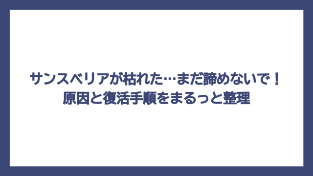 サンスベリアが枯れた…まだ諦めないで！原因と復活手順をまるっと整理