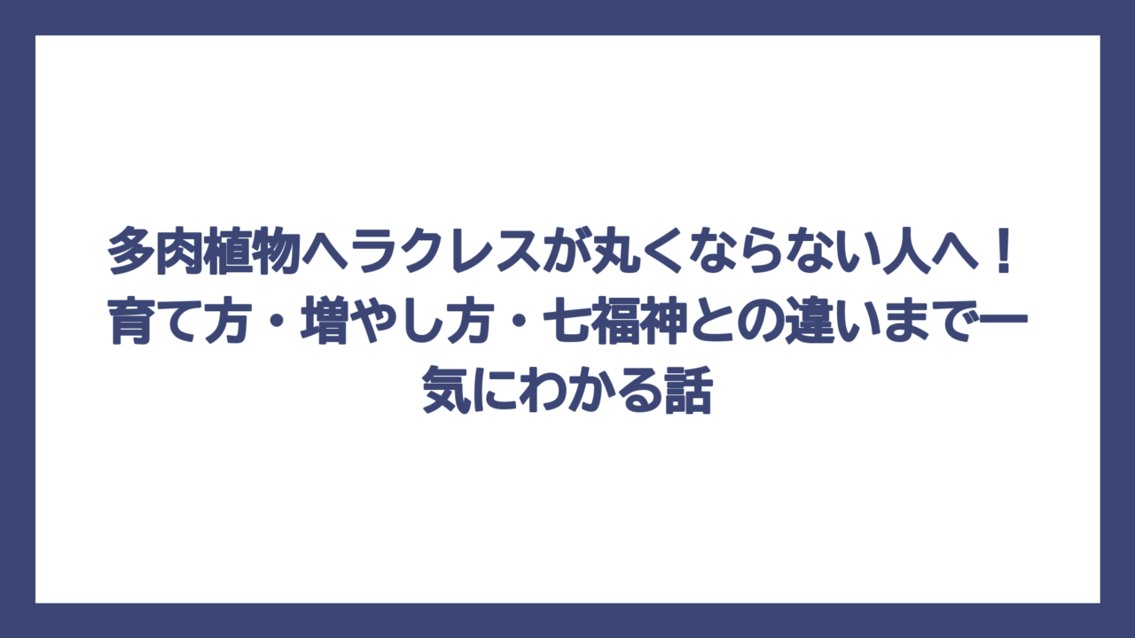 多肉植物ヘラクレスが丸くならない人へ！育て方・増やし方・七福神との違いまで一気にわかる話