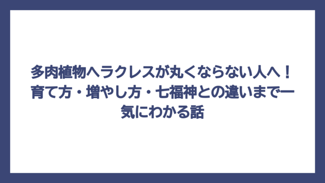 多肉植物ヘラクレスが丸くならない人へ！育て方・増やし方・七福神との違いまで一気にわかる話