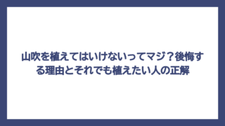 山吹を植えてはいけないってマジ？後悔する理由とそれでも植えたい人の正解