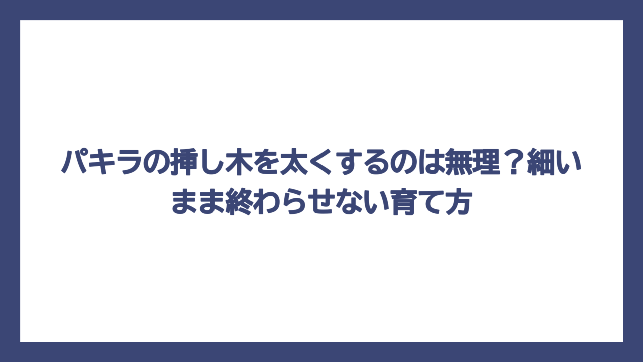 パキラの挿し木を太くするのは無理？細いまま終わらせない育て方