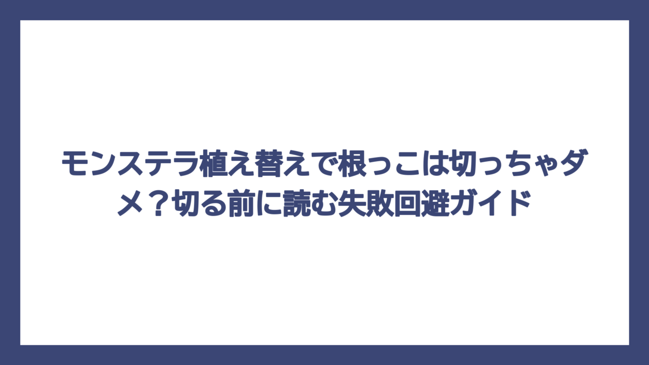 モンステラ植え替えで根っこは切っちゃダメ？切る前に読む失敗回避ガイド