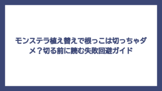 モンステラ植え替えで根っこは切っちゃダメ？切る前に読む失敗回避ガイド