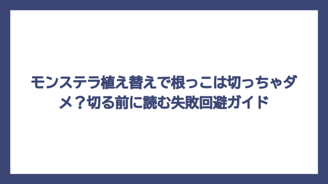 モンステラ植え替えで根っこは切っちゃダメ？切る前に読む失敗回避ガイド