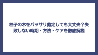 柚子の木をバッサリ剪定しても大丈夫？失敗しない時期・方法・ケアを徹底解説