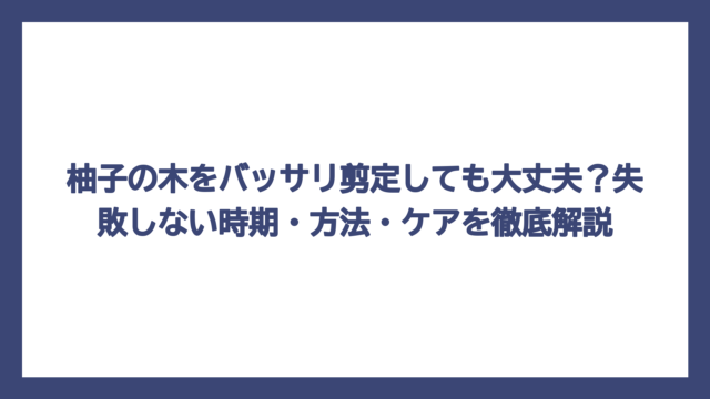 柚子の木をバッサリ剪定しても大丈夫？失敗しない時期・方法・ケアを徹底解説