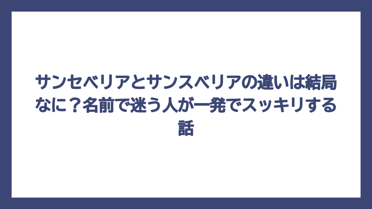 サンセベリアとサンスベリアの違いは結局なに？名前で迷う人が一発でスッキリする話
