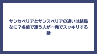 サンセベリアとサンスベリアの違いは結局なに？名前で迷う人が一発でスッキリする話