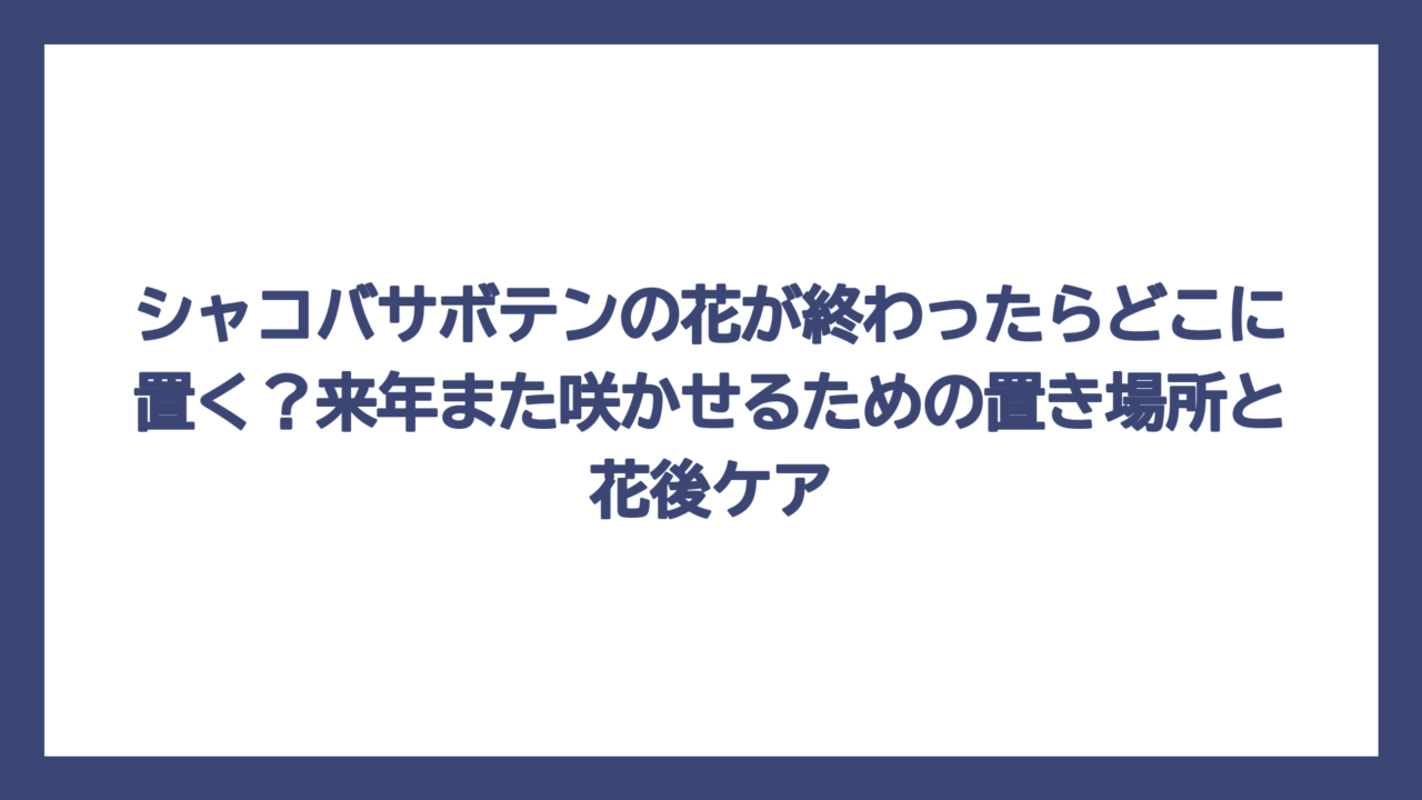 シャコバサボテンの花が終わったらどこに置く？来年また咲かせるための置き場所と花後ケア