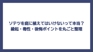 ソテツを庭に植えてはいけないって本当？縁起・毒性・後悔ポイントを丸ごと整理