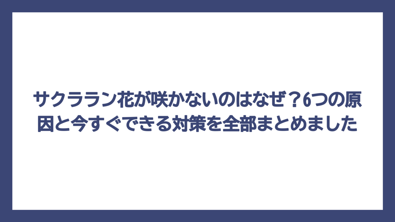 サクララン花が咲かないのはなぜ？6つの原因と今すぐできる対策を全部まとめました