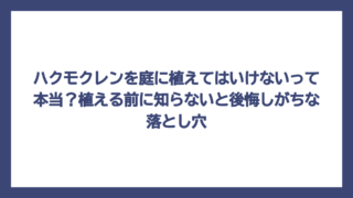 ハクモクレンを庭に植えてはいけないって本当？植える前に知らないと後悔しがちな落とし穴