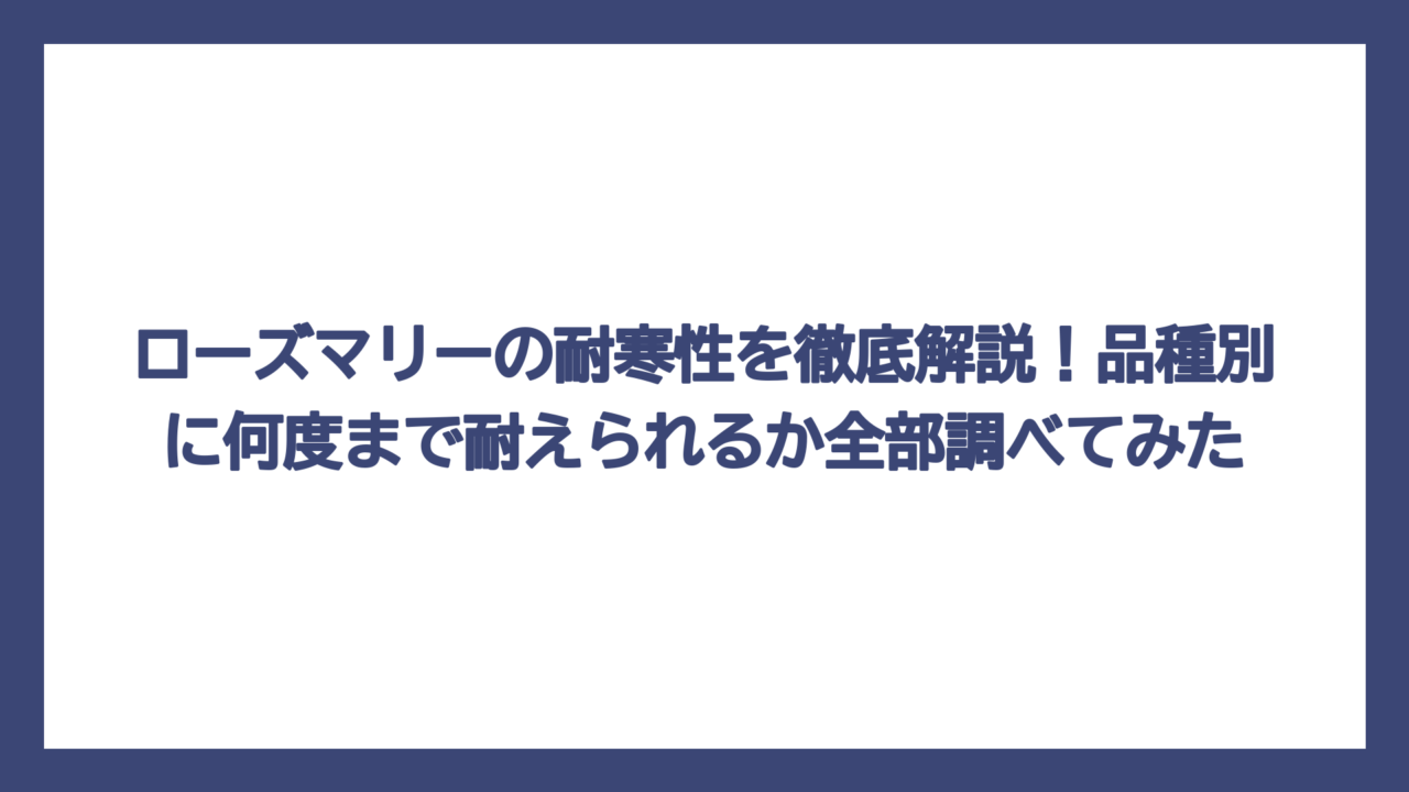 ローズマリーの耐寒性を徹底解説！品種別に何度まで耐えられるか全部調べてみた