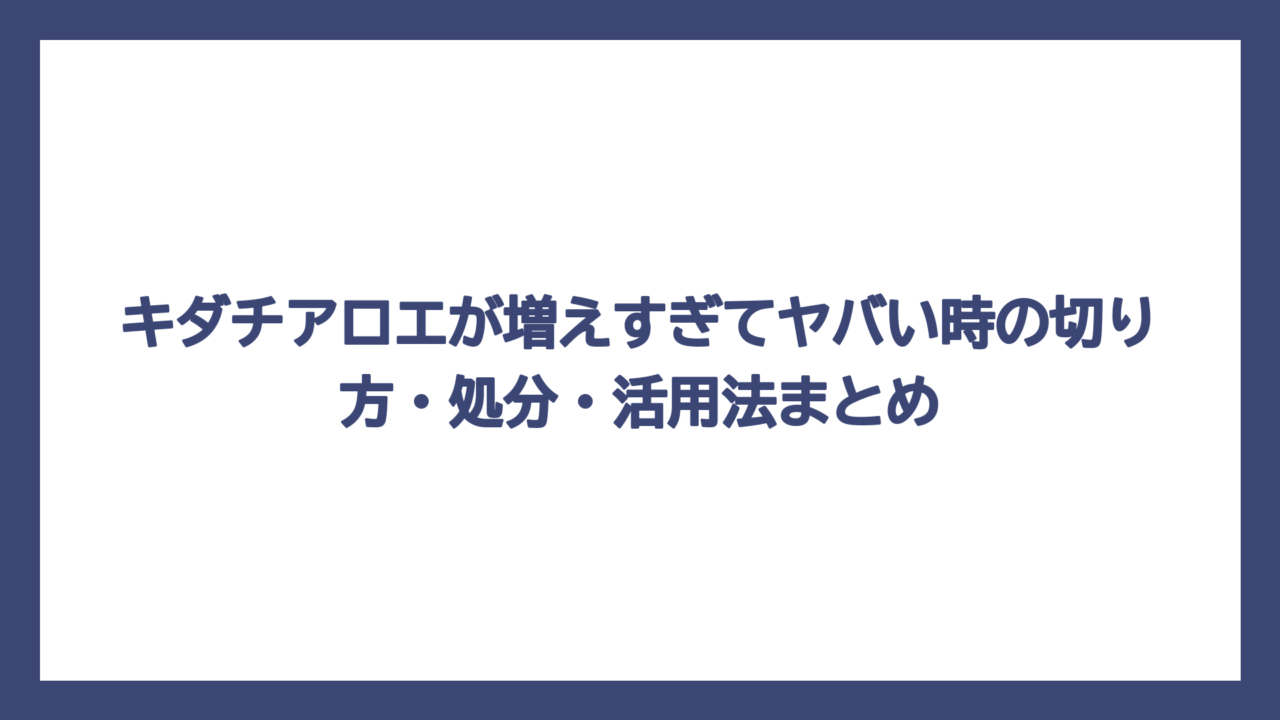 キダチアロエが増えすぎてヤバい時の切り方・処分・活用法まとめ
