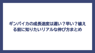ギンバイカの成長速度は遅い？早い？植える前に知りたいリアルな伸び方まとめ