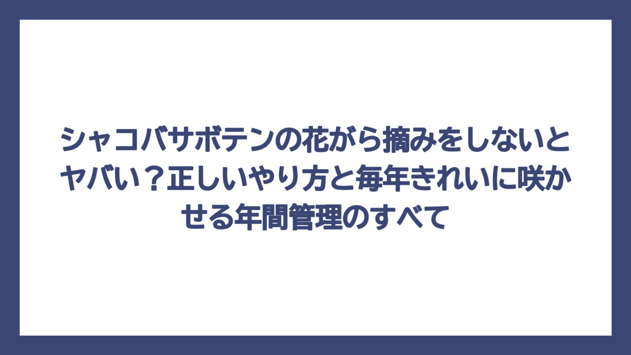 シャコバサボテンの花がら摘みをしないとヤバい？正しいやり方と毎年きれいに咲かせる年間管理のすべて