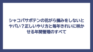 シャコバサボテンの花がら摘みをしないとヤバい？正しいやり方と毎年きれいに咲かせる年間管理のすべて