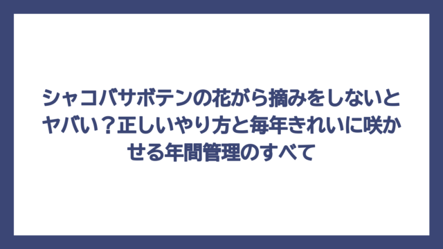 シャコバサボテンの花がら摘みをしないとヤバい？正しいやり方と毎年きれいに咲かせる年間管理のすべて