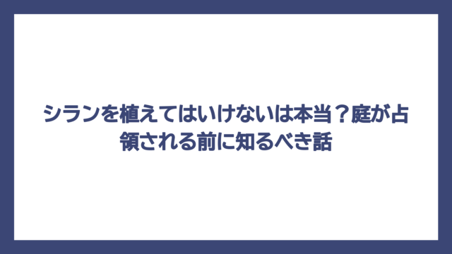 シランを植えてはいけないは本当？庭が占領される前に知るべき話