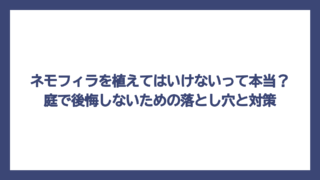 ネモフィラを植えてはいけないって本当？庭で後悔しないための落とし穴と対策