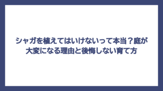 シャガを植えてはいけないって本当？庭が大変になる理由と後悔しない育て方