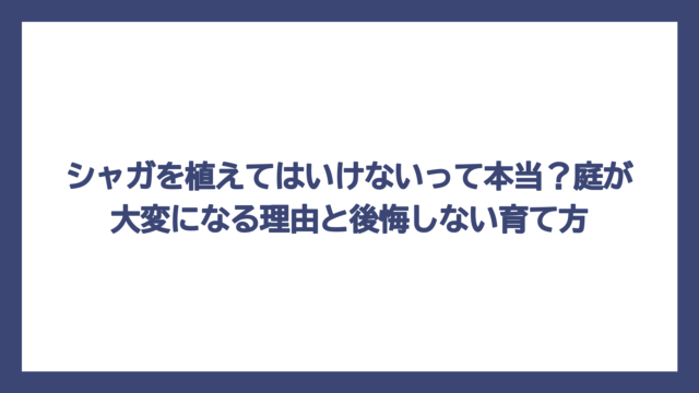 シャガを植えてはいけないって本当？庭が大変になる理由と後悔しない育て方