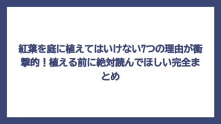 紅葉を庭に植えてはいけない7つの理由が衝撃的！植える前に絶対読んでほしい完全まとめ