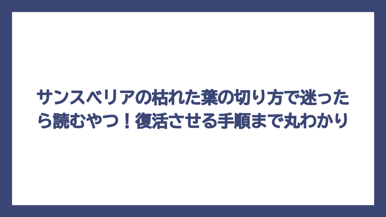 サンスベリアの枯れた葉の切り方で迷ったら読むやつ！復活させる手順まで丸わかり