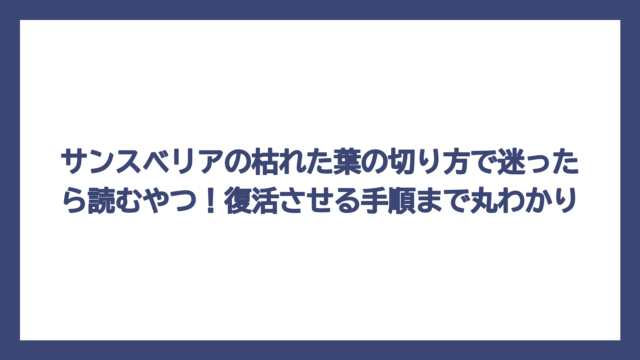 サンスベリアの枯れた葉の切り方で迷ったら読むやつ！復活させる手順まで丸わかり