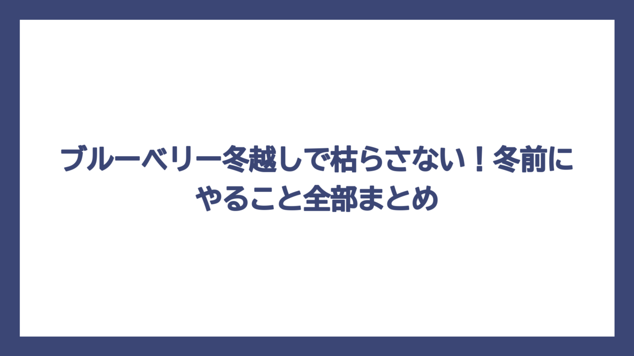ブルーベリー冬越しで枯らさない！冬前にやること全部まとめ